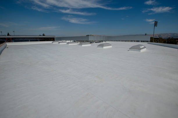 Best Roof Ventilation Installation  in Bellevue, OH