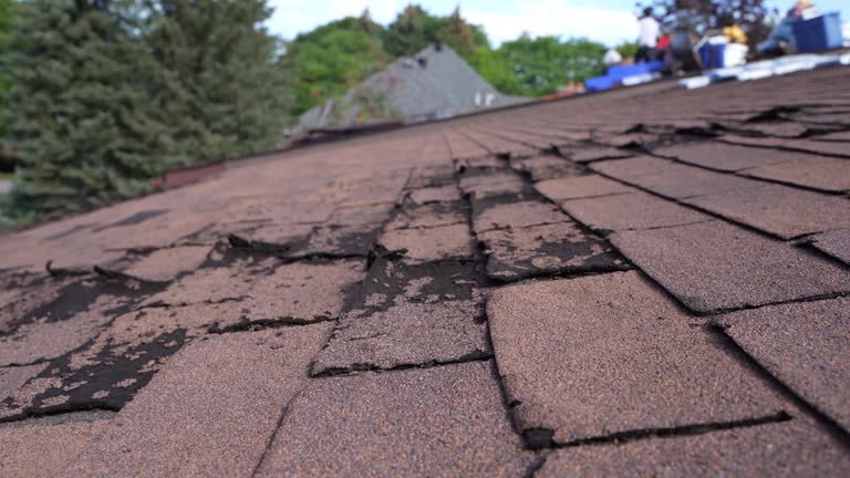 Best Green or Eco-Friendly Roofing Solutions  in Bellevue, OH