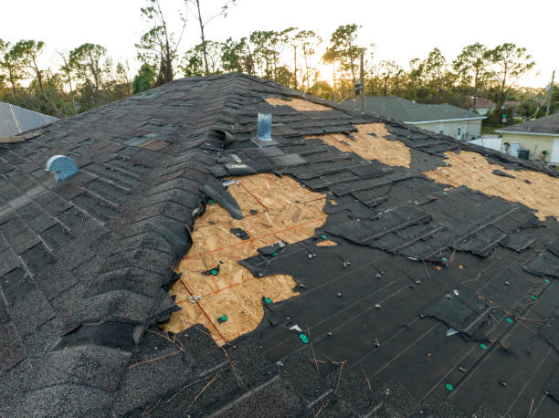 Best Roof Coating and Sealing  in Bellevue, OH