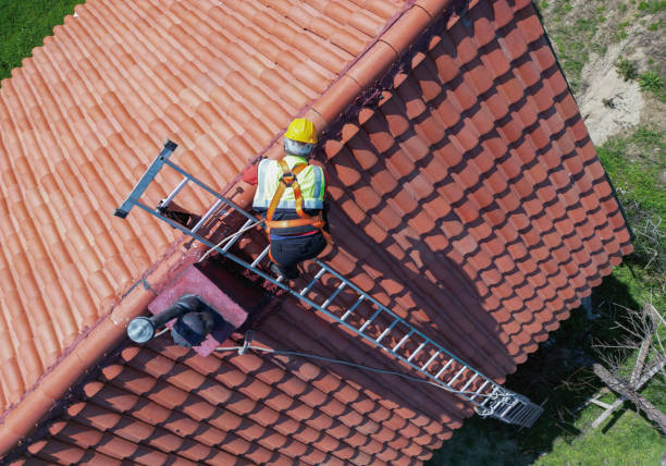 Best Roof Moss and Algae Removal  in Bellevue, OH